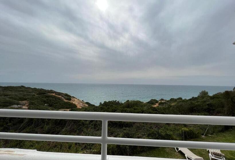 1间卧室的房子, Pestana Palm Gardens