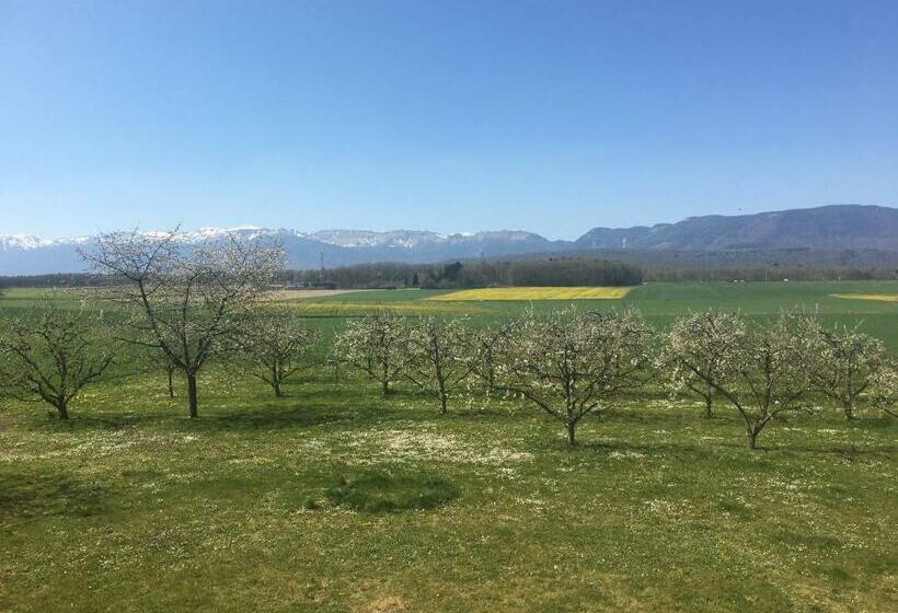 Номер Стандарт, B&b Domaine En Trembley