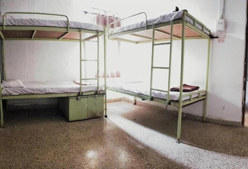 Cama em Quarto Compartilhado, Monkey Mind Hostel