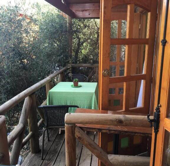 Студия Стандарт, La Maison Des Fous