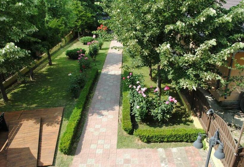 Номер Стандарт Вид на Реку, Vila Delta Travel   Mila 23