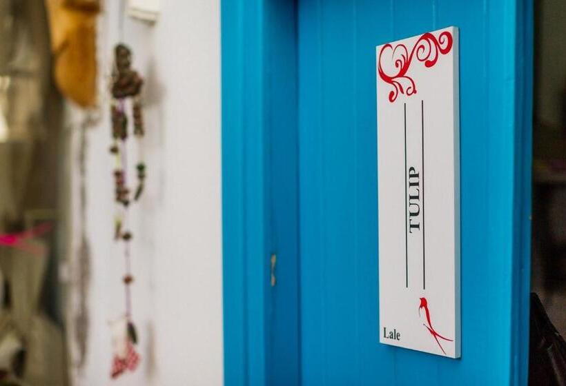 اتاق لوکس, Cypriot Swallow Boutique