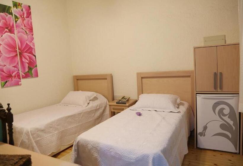اتاق استاندارد, Cypriot Swallow Boutique