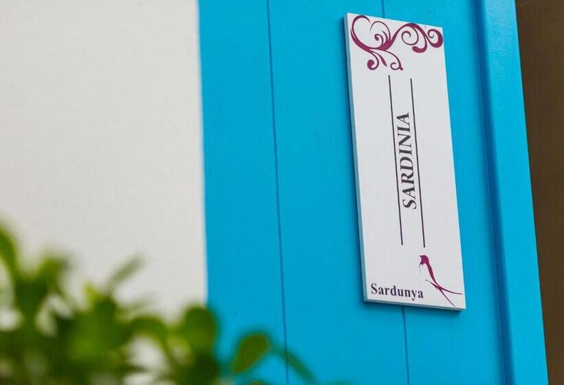 标准间, Cypriot Swallow Boutique
