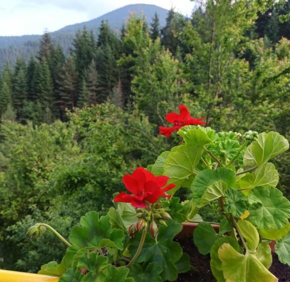 Номер Стандарт Трехместный, Guest House Stoletnika