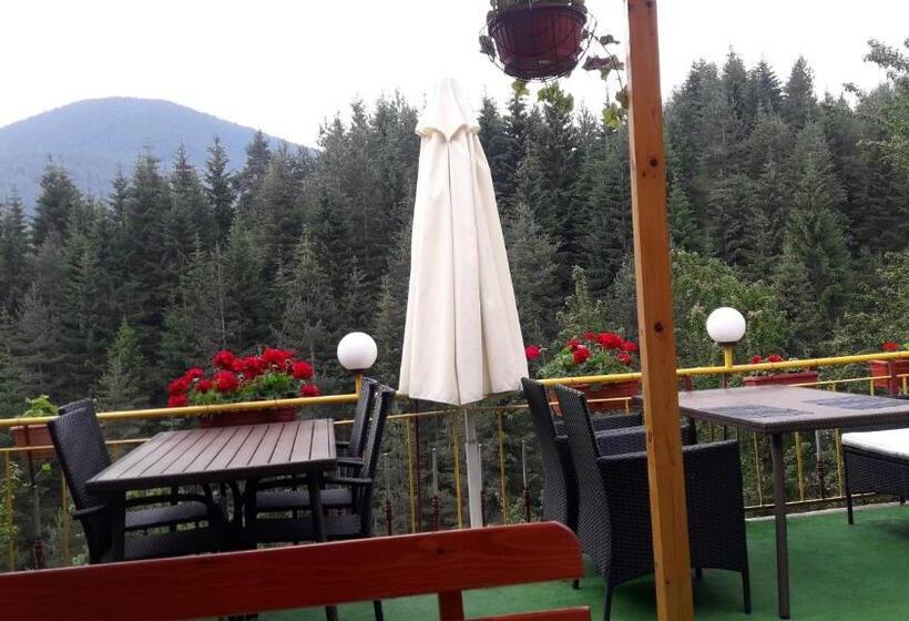 Номер Стандарт Вид на Горы, Guest House Stoletnika