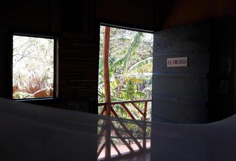 Номер Стандарт Совместная Ванная, La Urraca Loca Hostel