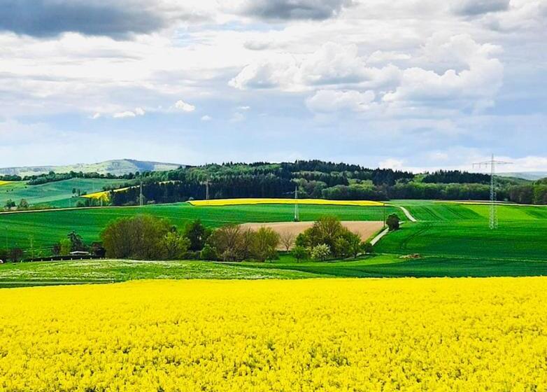Апартаменты 1 Спальня, Eifelhof Brohl