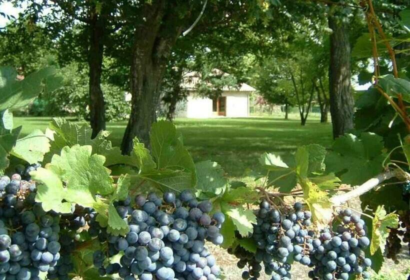 Номер Стандарт, Domaine Maison Dodo