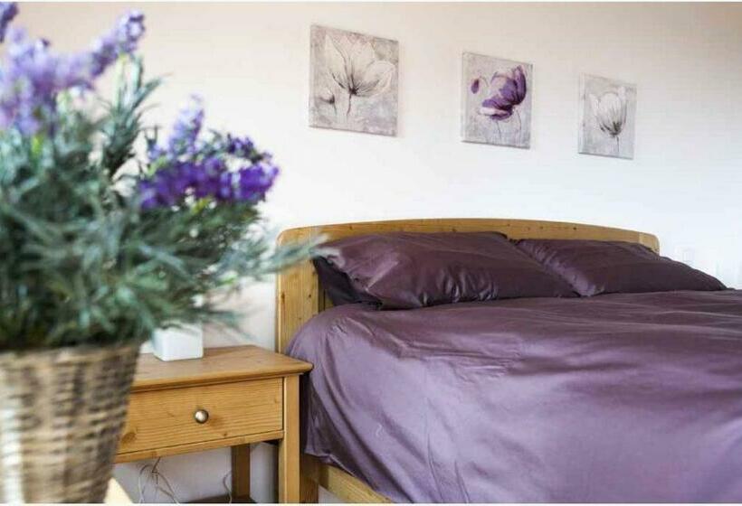 Номер Deluxe, Agriturismo Ronchi Rò