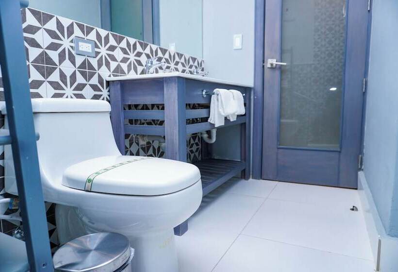 اتاق استاندارد برای معلولان, Gran Hotel Europa Trademark Collection By Wyndham