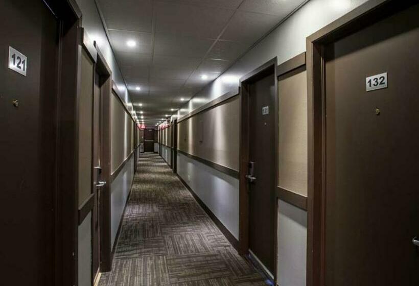 Номер Superior Одноместный, Motel Mistral