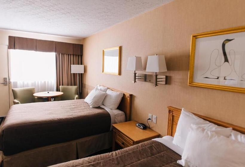 Номер Стандарт, Motel Mistral