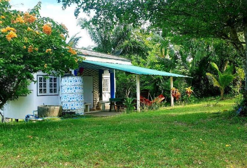 ファミリールーム, Wandee Resort Bankrut