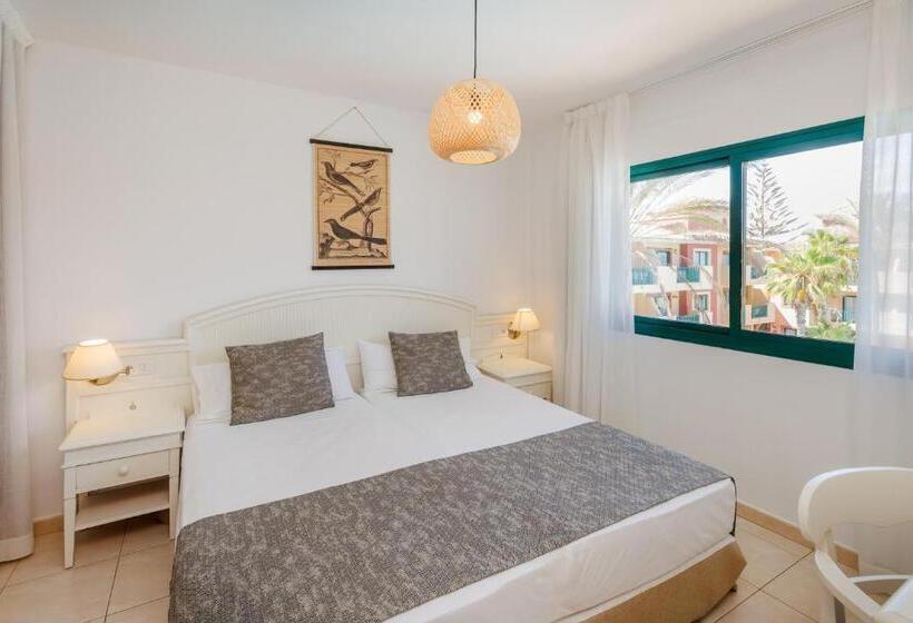 Apartamento 1 Dormitório Vista Piscina, O7 Aloe Corralejo