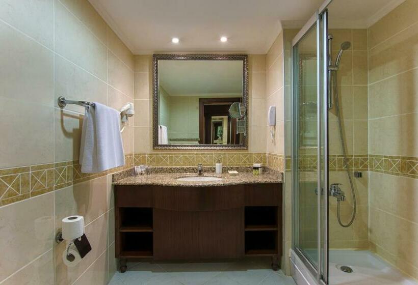 Cameră Standard cu Priveliști, Delphin Palace