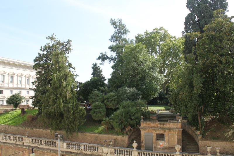 חדר סטנדרט לארבעה, Fiori