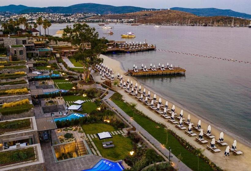 Вилла с 1 спальней и бассейном, Kaya Palazzo Resort & Residences Le Chic Bodrum