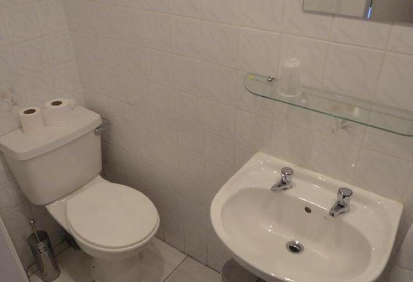 اتاق استاندارد یک نفره, Sandyford Lodge