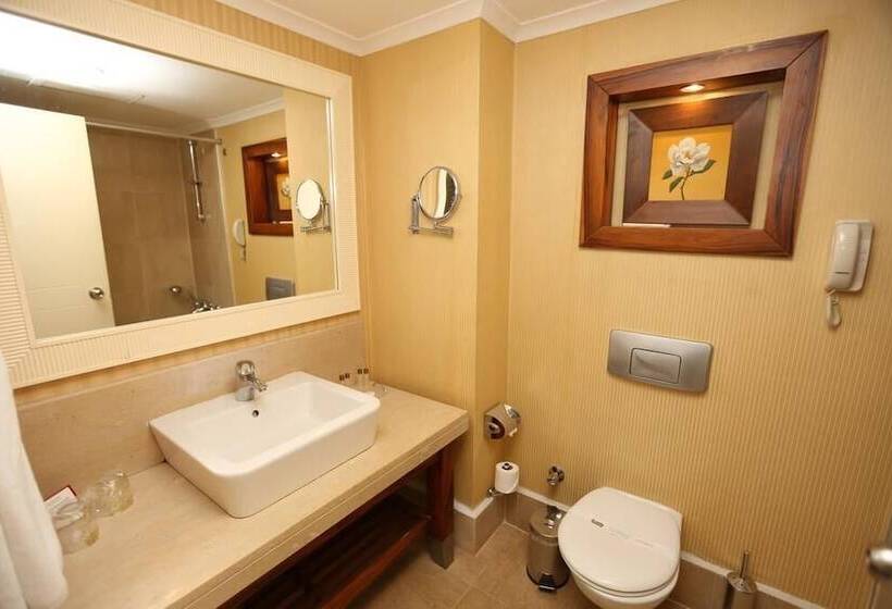 Номер Стандарт, Meder Resort Hotel   Ultra All Inclusive
