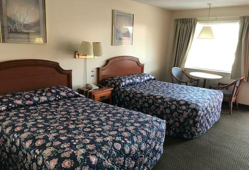 Номер Стандарт 2 Двуспальные Кровати, Parkview Motel