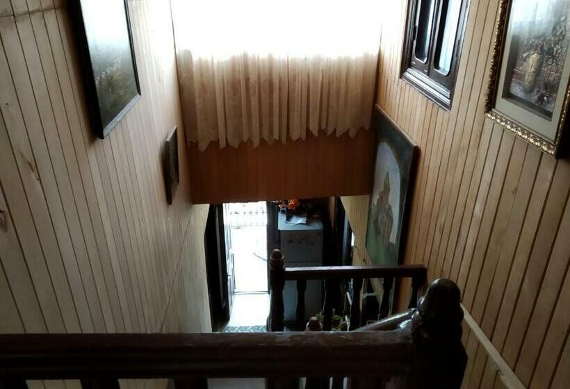 اتاق اکونومی, Downtown Guest House