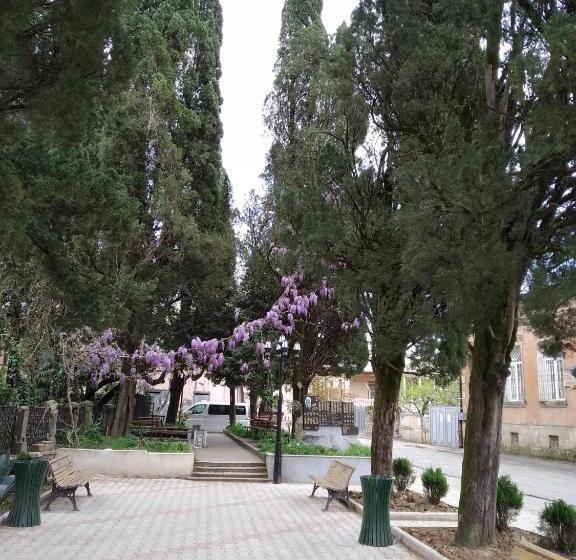 اتاق اکونومی, Downtown Guest House