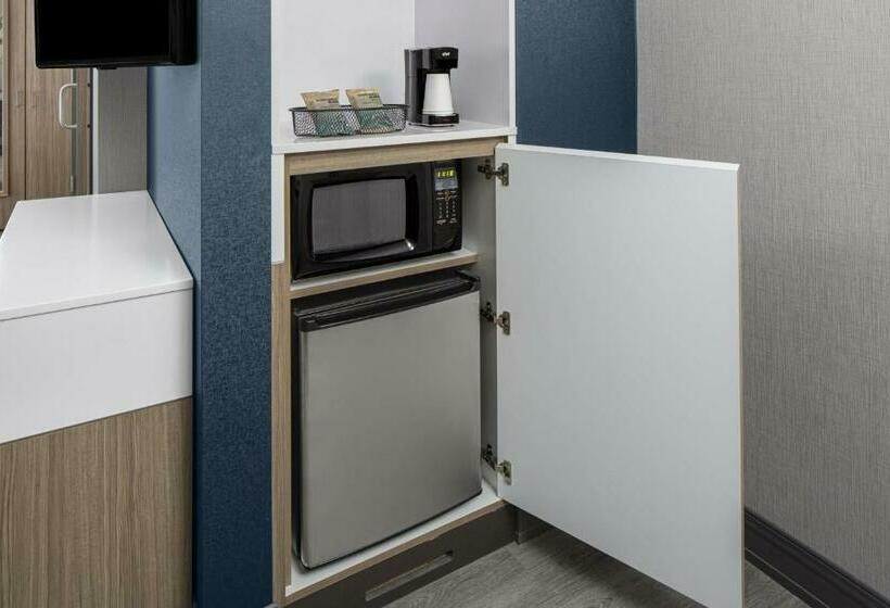 스탠다드 룸 킹사이즈 침대, Springhill Suites By Marriott East Rutherford Meadowlands Carlstadt