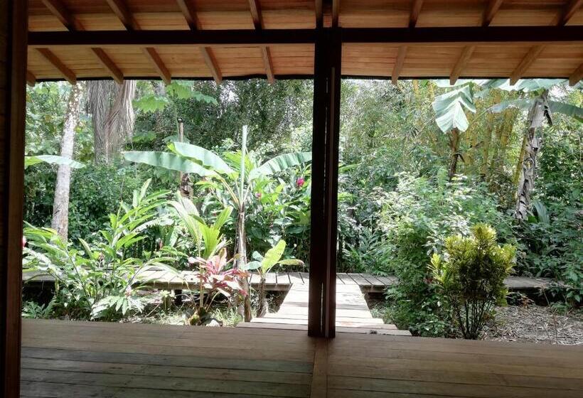 Bungalow Standard Vista Jardim, La Tarima Del Colibri Ecolodge