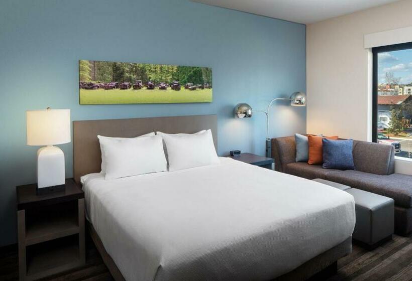 Стандартный Номер Кровать Кинг, Hyatt House Tallahassee Capitol University