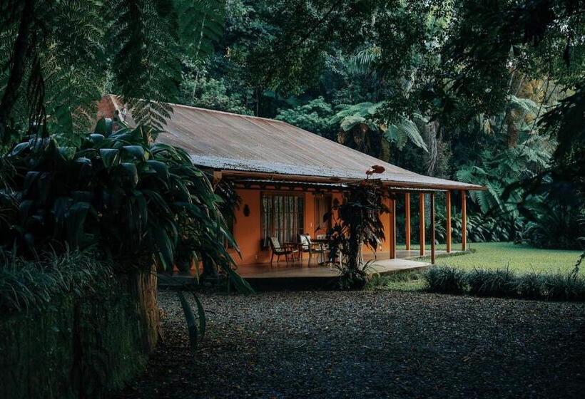 キャビン, Argovia Finca Resort