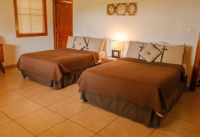 スタンダードルーム, Argovia Finca Resort