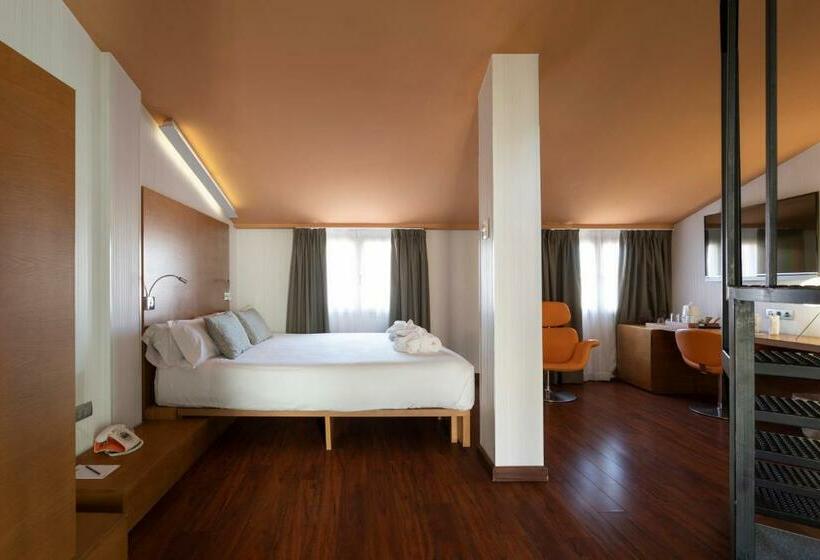اتاق استاندارد با تراس, Petit Palace Plaza Malaga