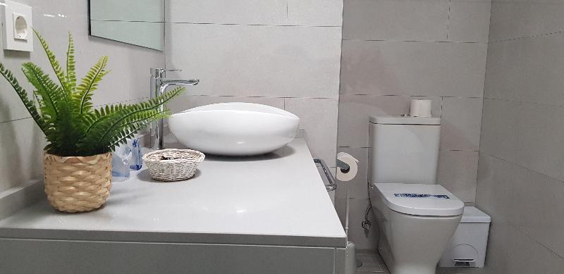 Apartamento Superior 1 Dormitório, Palmeras Garden