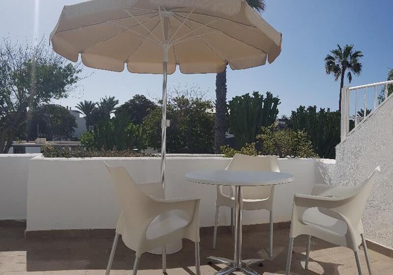 דירת חדר סופריור, Palmeras Garden