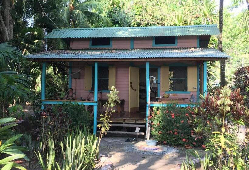 Бунгало Стандарт, Cabinas Los Cocos