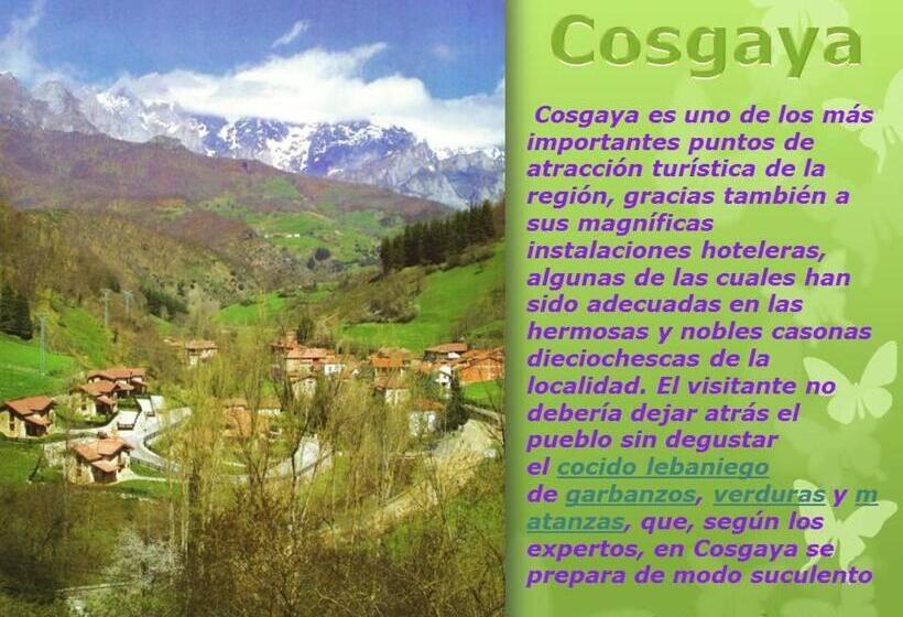 غرفة قياسية, Cosgaya