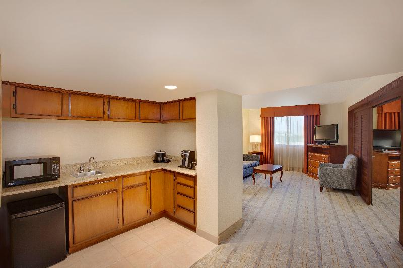 스탠다드 룸 킹사이즈 침대, Holiday Inn Express Dallas Medical Market Center