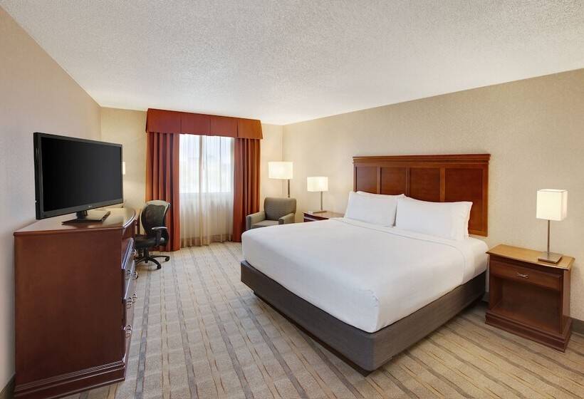 스탠다드 룸, Holiday Inn Express Dallas Medical Market Center