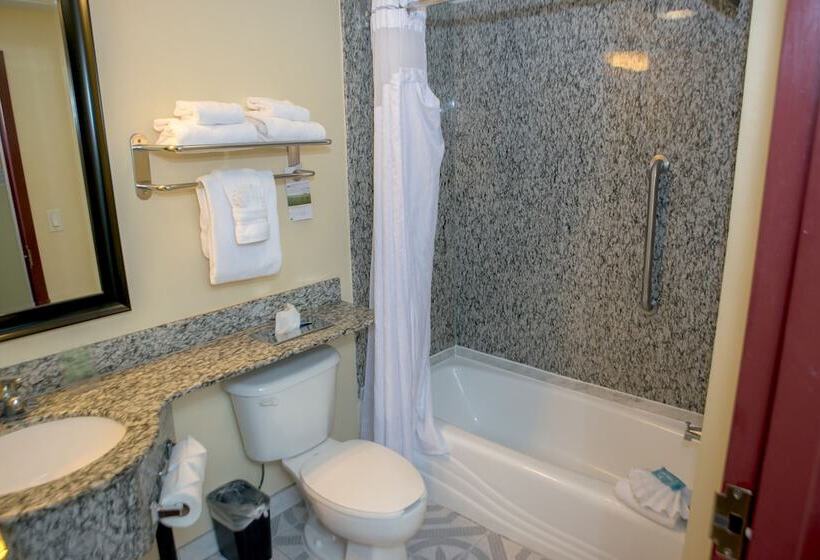 标准间, Holiday Inn Express & Suites Cocoa, An Ihg