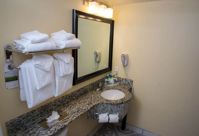 套房, Holiday Inn Express & Suites Cocoa, An Ihg