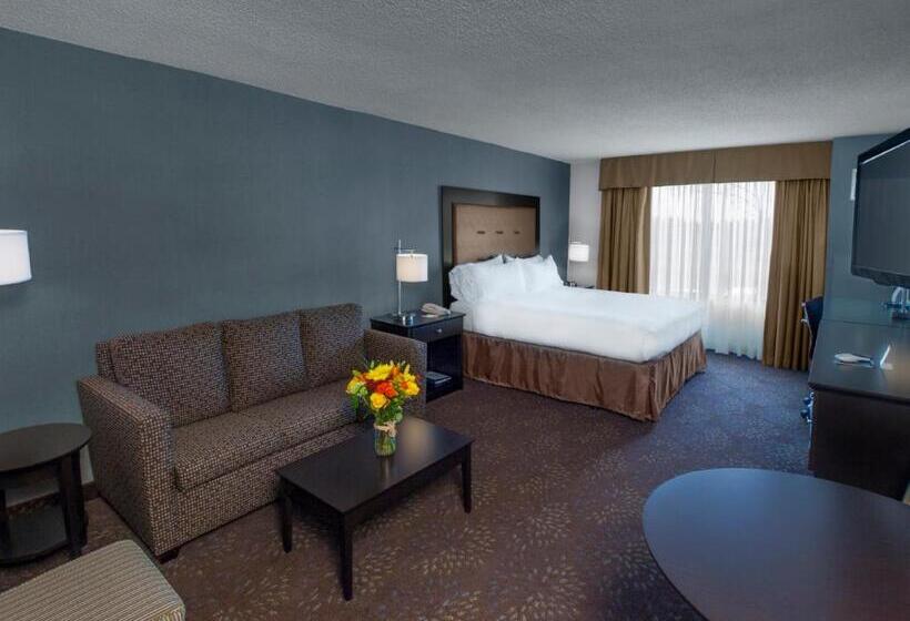 Люкс Кровать Кинг, Holiday Inn Express & Suites Buffalo Airport, An Ihg
