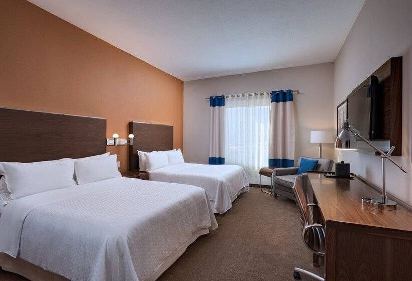 اتاق سوپریور, Four Points By Sheraton Galerias Monterrey