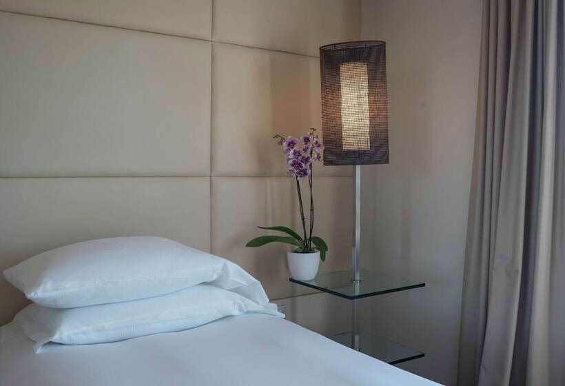 اتاق استاندارد با چشم‌انداز شهر, Doubletree by Hilton Florence Metropole
