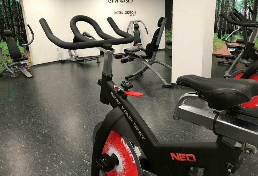 Номер Superior, Spa Odeón