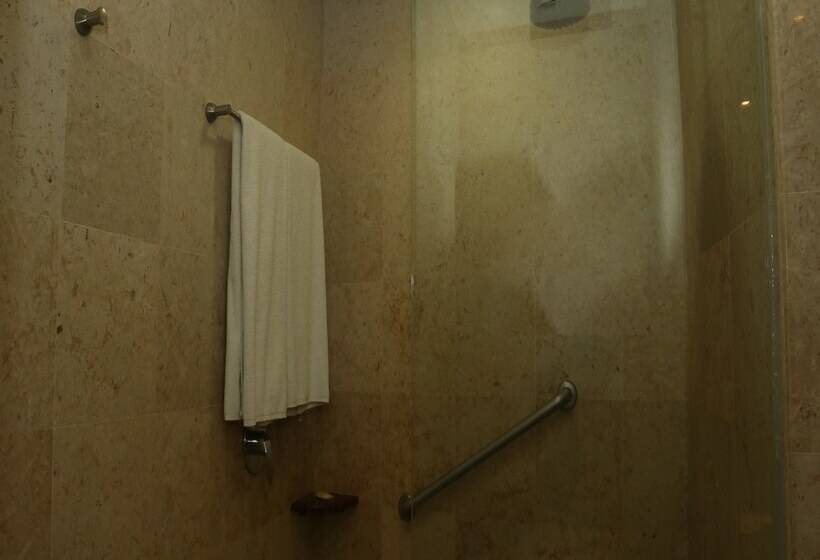 חדר דחוקס עם מיטת קינג, Real Inn Nuevo Laredo