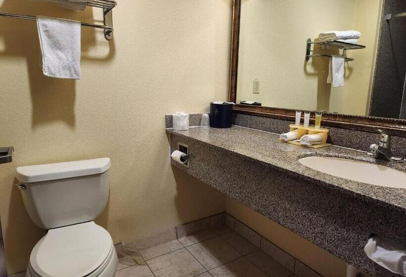 Номер Deluxe Кровать Кинг, Days Inn & Suites By Wyndham Sam Houston Tollway
