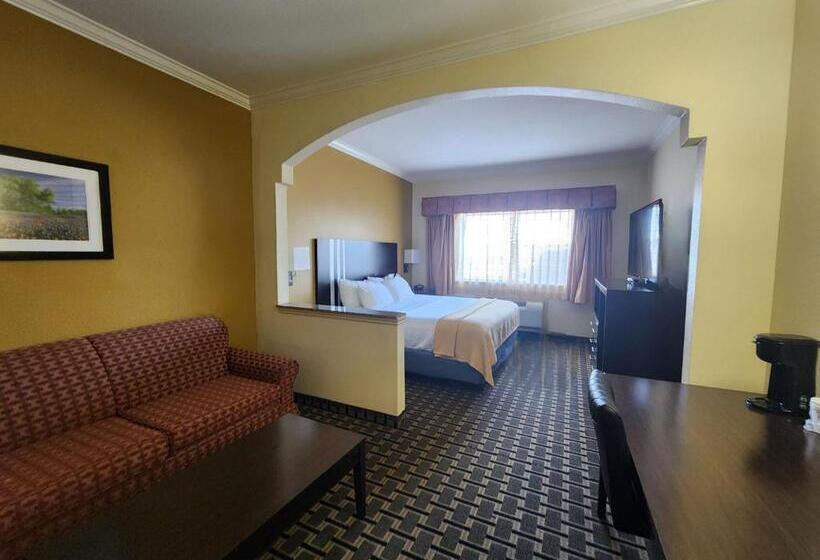 Люкс Кровать Кинг, Days Inn & Suites By Wyndham Sam Houston Tollway