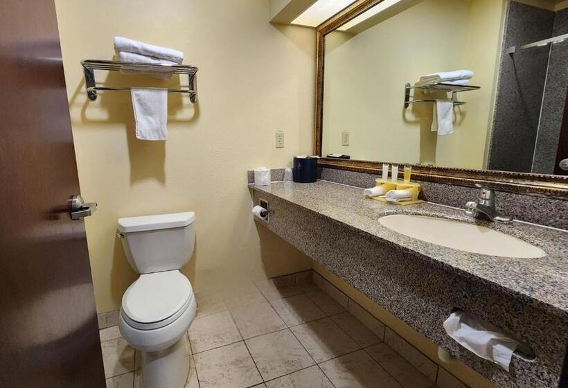 Номер Стандарт Кровать Квин Адаптированный для Инвалидов, Days Inn & Suites By Wyndham Sam Houston Tollway