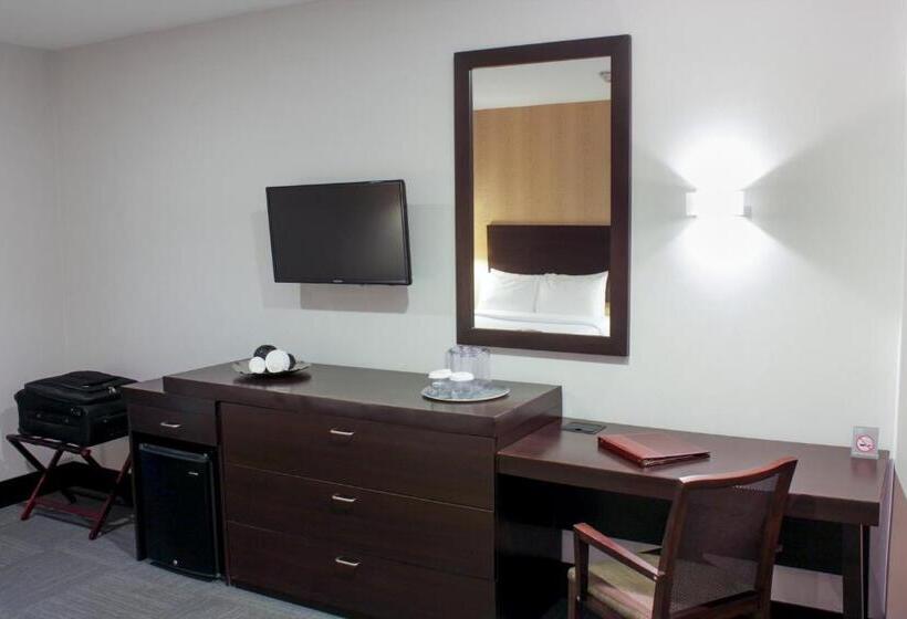 스탠다드 싱글 룸, Trinitarias Suites